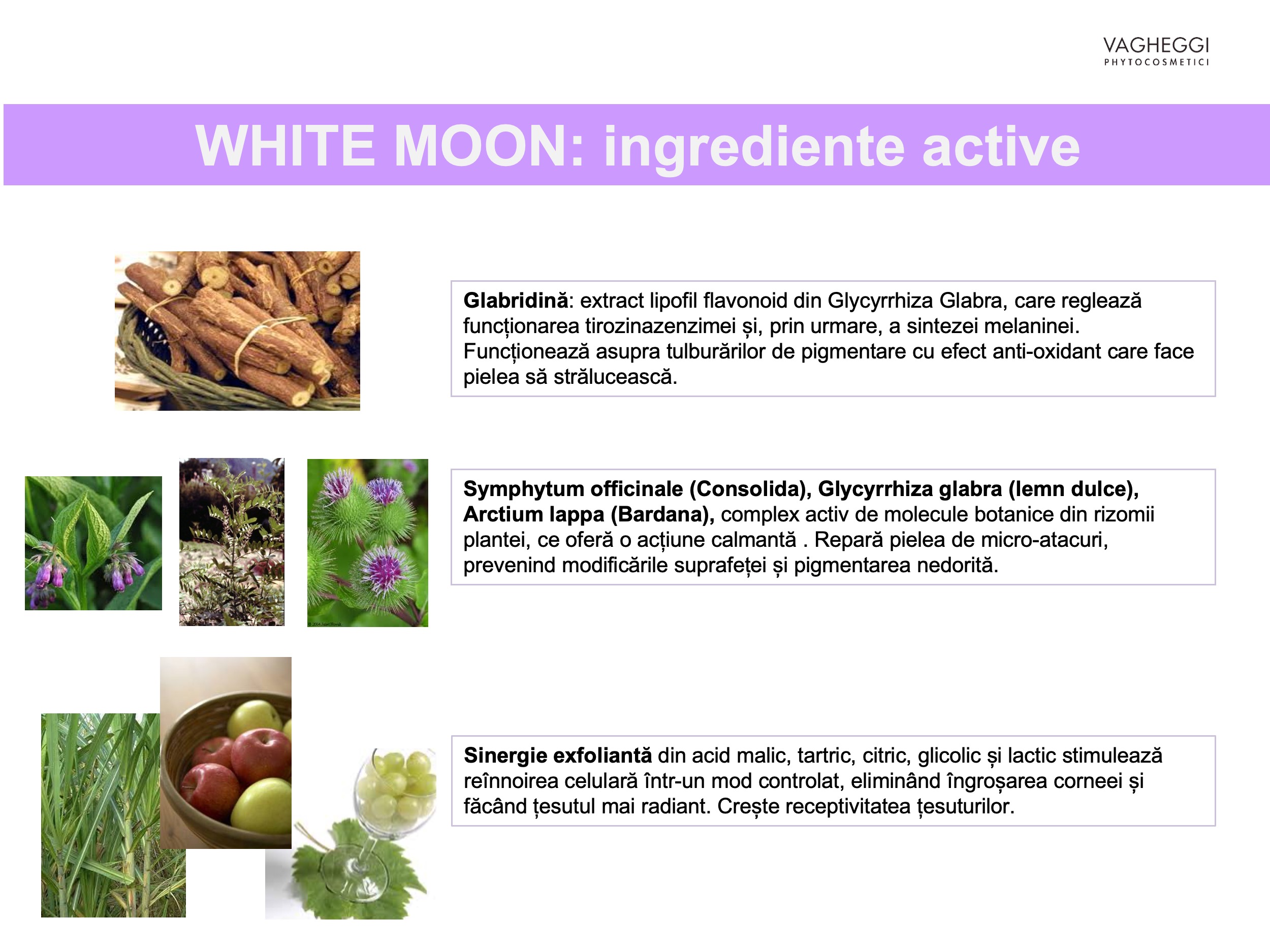 Ingrediente Gama White Moon Vagheggi